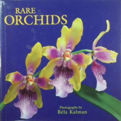 Rare orchids