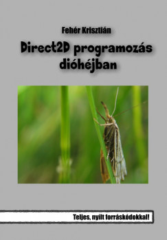 Fehr Krisztin - Direct2D programozs dihjban