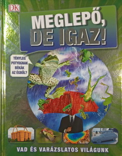 Andrea Mills - Meglepő, de igaz