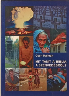 Cseri Klmn - Mit tant a Biblia a szenvedsrl?