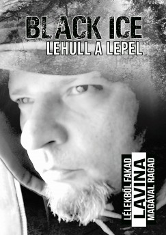 Black Ice - Lehull a lepel