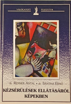 Renner Antal - Sntha Ern - Kzsrlsek elltsrl kpekben