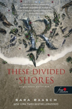 Sara Raasch - These Divided Shores - Megosztott partvidk