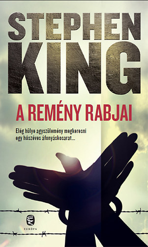 Stephen King - A remny rabjai