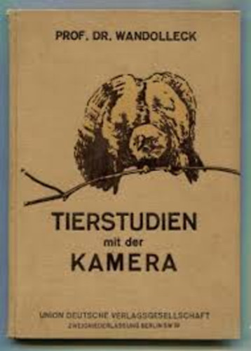 Dr. Wandolleck - Tierstudien mit der Kamera