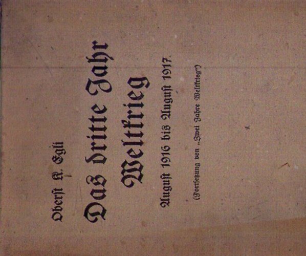 Oberst Karl Egli - Das dritte Jahr Weltkrieg