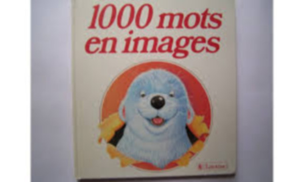 Armelle Le Bigot-Marcaux - 1000 mots en images Larousse