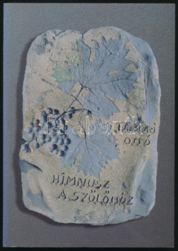 Himnusz a sz�l�h�z