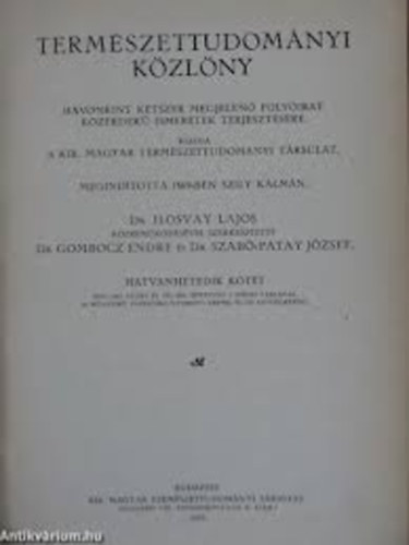 Ilosvay-Gombocz-Szab-Patay - Termszettudomnyi kzlny 1934