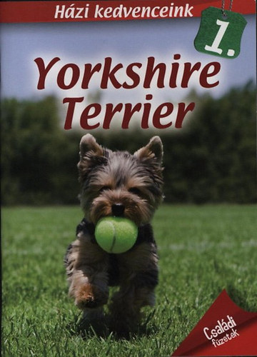 Horvth Szilvia - Yorkshire terrier (Hzi kedvenceink 1.)