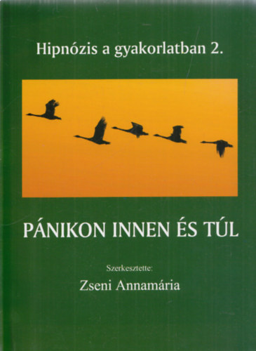 Zseni Annamária - Pánikon innen és túl