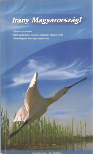Dreissiger Gbor, Dreissiger Gborn Gnczl Csaba - Irny Magyarorszg! 2008