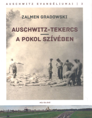 Zalmen Gradowski - Auschwitz-tekercs - A pokol szvben