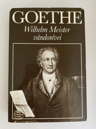 Johann Wolfgang von Goethe - Wilhelm mester vndorvei
