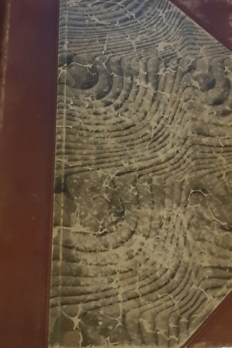 Zsilinszky Mihly dr. - A magyarhoni protestns egyhz trtnete (I. kiads)