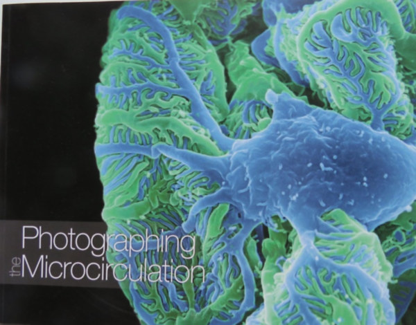 Photographing the Microcirculation