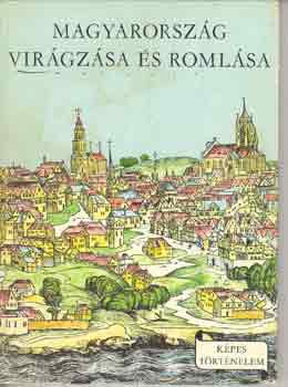 Varga Domokos - Magyarország virágzása és romlása (Képes történelem)
