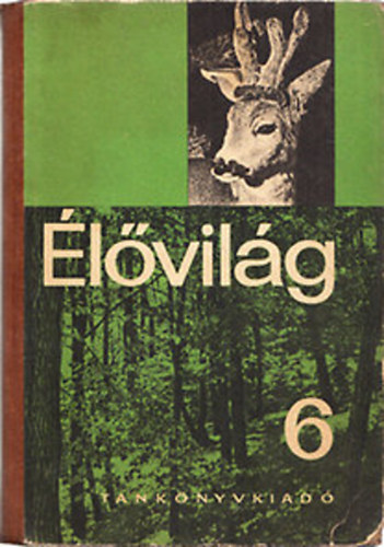 Dr. Kontra Gy�rgy, Dr. Stolm�r L�szl� - �l�vil�g  az �ltal�nos iskol�k 6. oszt�lya sz�m�ra