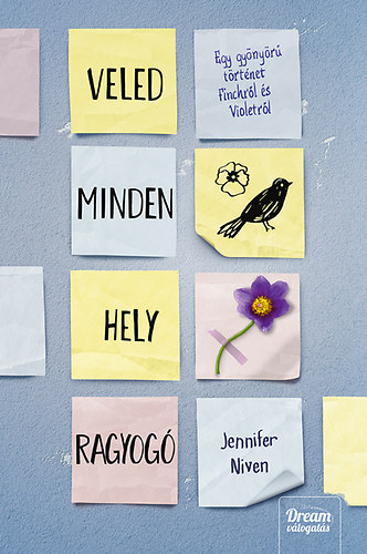 Jennifer Niven - Veled minden hely ragyog