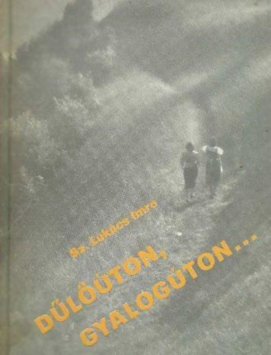 Sz. Lukcs Imre - Dlton, gyalogton...