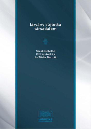 Koltay Andrs-Trk Bernt  (szerk.) - Jrvny sjtotta trsadalom