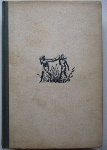 Szchenyi Zsigmond - Afrikai tbortzek