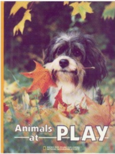 K.M. Kostyal - Animals at Play