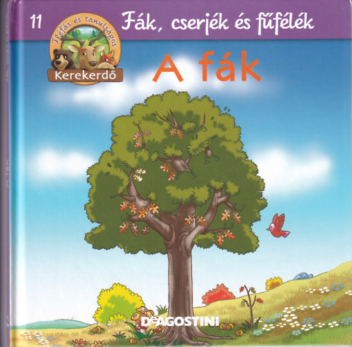 A fk (Kerekerd- Fk, cserjk, fflk 11.)