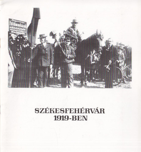 Szkesfehrvr 1919-ben