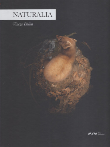 Vincze Blint - Naturalia