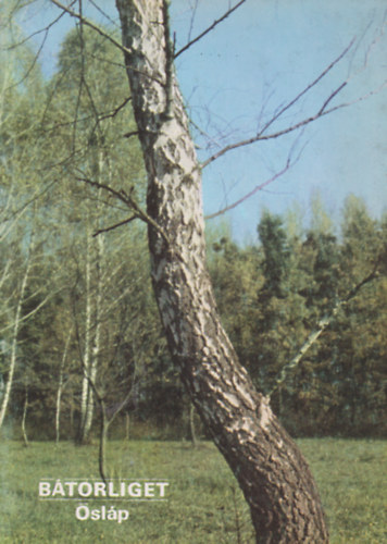 B�torliget - �sl�p