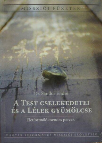Dr. S�ndor Endre - A Test cselekedetei �s a L�lek gy�m�lcse - �letform�l� csendes percek