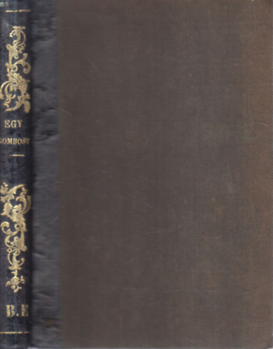 R�zsa�gi Antal  Saint Germain (ford.) - Egy gombost�