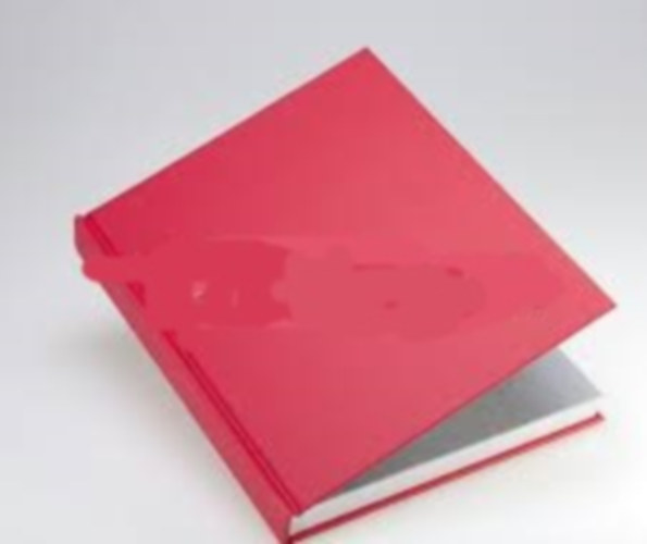 Dr. Farkas Gábor - A szakmunkásképzés 100 éve Székesfehérváron