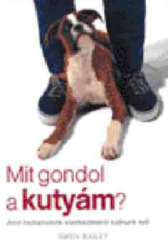 Gwen Bailey - Mit gondol a kutym?