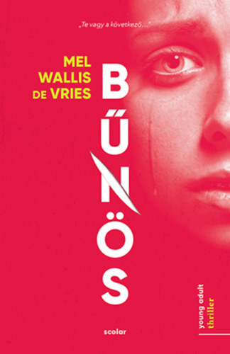 Mel Wallis de Vries - Bűnös