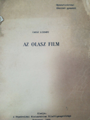 Carlo Lizziani - Az olasz film
