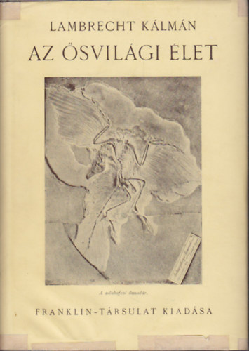 Dr. Lambrecht Klmn - Az svilgi let