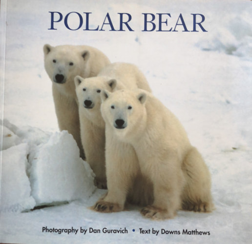 Dan, Matthews, Downs Guravich - Polar Bear (Jegesmedve - angol nyelv)