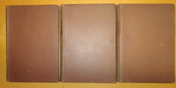 Dr. prof.Dr.Med. Port Gottlieb, dr. Rieder Hermann, és mások Eichhorst Hermann - Egészségi útmutató 1.-3.