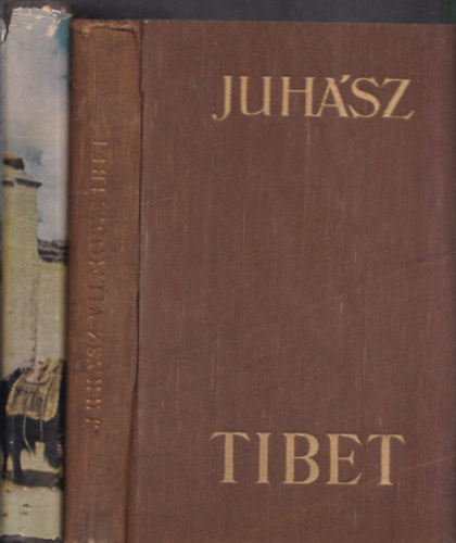 2 db knyv Tibetrl: Juhsz Vilmos: Tibet + Patk-Rv: Tibet