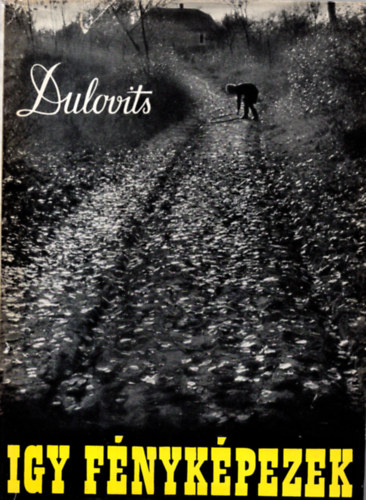 Dulovits Jen - gy fnykpezek