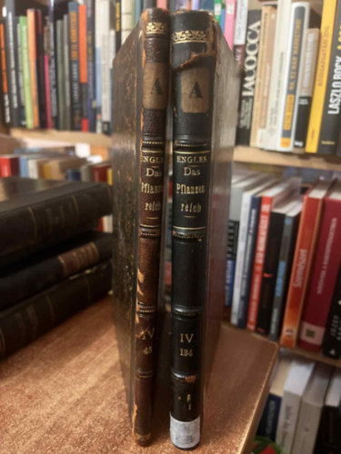 O. E. Schulz K. Schumann - Das Pflanzenreich - Regni vegetabilis conspectus IV.45 Musaceae + IV. 134 Erythroxylaceae