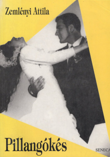 Zeml�nyi Attila - Pillang�k�s