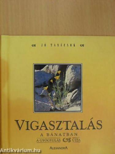 Ben Alex - Trk Judit - Vigasztals a bnatban A GYGYULS TJA - Sorozatcm:J tancsok