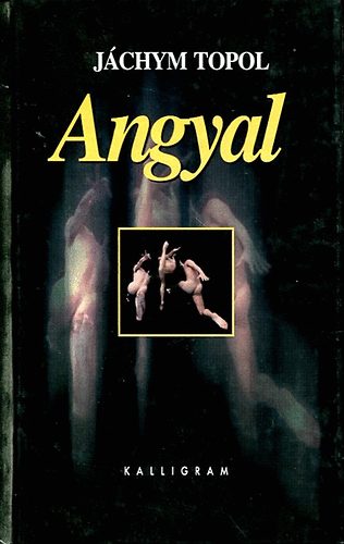 J�chym Topol - Angyal