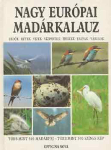 Reinhard dr. Witt (szerk.) - Nagy európai madárkalauz - Több mint 300 madárfaj - Több mint 500 színes fénykép