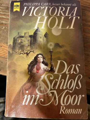 Das Schlo im Moor