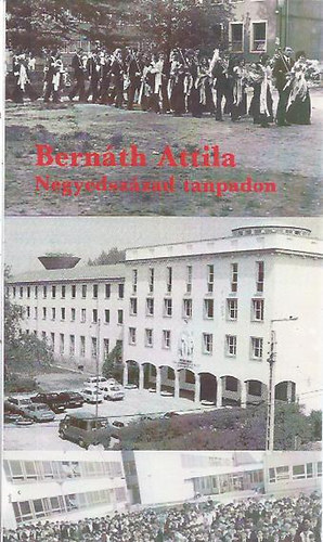 Bernth Attila - Negyedszzad tanpadon