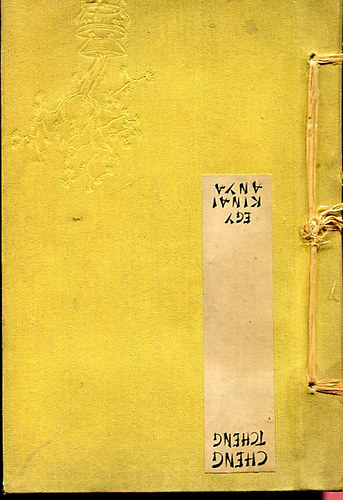Cheng Tseng - Egy knai anya